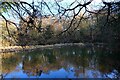 Hilditch Pool, in Winter (1), near Hartlebury, Worcs