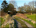 Lane to Carr Mount, Kirkheaton