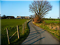 Footpath on lane to Carr Mount