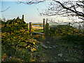 Stile on the footpath approaching Carr Mount from the west