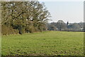 View to Sherfield English Church from Sole Hill Farm