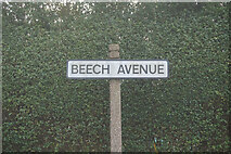 TA1130 : Beech Avenue, Garden Village, Hull by Ian S