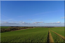 SK8011 : High Leicestershire landscape, north of Cold Overton by Tim Heaton