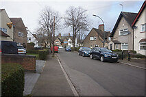 TA1130 : Lime Tree Avenue, Garden Village, Hull by Ian S