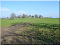 Public footpath 353Sy to Rowley Farm