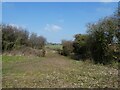 Path to Sherborne