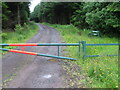 Entrance to Prickeny Road forest track