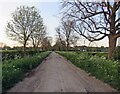 Pasture Lane northwards