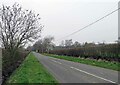 Bandalls Lane towards Cotes