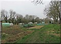 Allotments