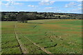 Downhill view towards Carter