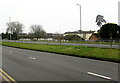 ST3091 : Saplings in the middle of Malpas Road, Newport by Jaggery