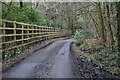 Deer fence beside Coombe Lane