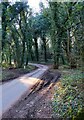 Titton Lane, near Hartlebury, Worcs