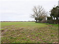 Hedge and Winter Cereals