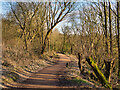 Path to Ringley