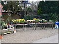 Flower Stall at Cross Keys Dilham