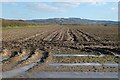 Farmland, Longwick