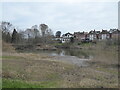 Eyot on the River Severn at Underdale, Shrewsbury