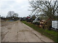 Farm yard storage area at Sundorne Farm