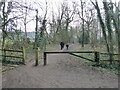 Part of Haughmond Hill forestry area