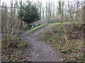 Steps up amphitheatre, The Hawth, Crawley