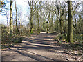 Path from Southgate Park to The Hawth arts centre