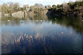 Newbold Quarry Park