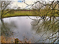 Pond between the Metrolink Line and the Canal