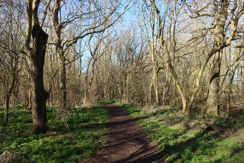 Permissive path through Manor Farm Wood © Hugh Venables :: Geograph ...