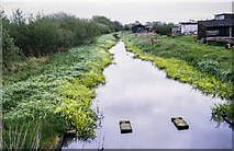 SJ9509 : Hatherton Branch canal from Cat's Bridge, 1986 by Trevor Littlewood