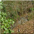 Gill Beck alongside Knott Lane