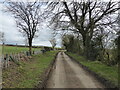 On the lane near Broome, near Church Preen