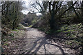 Viaduct Cycleway