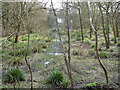 Marsh, Rathlin Road Meadow, Pond and Wood, Crawley