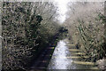 Oxford Canal, looking towards Newbold on Avon