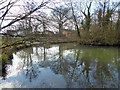 Rathlin Road Meadow, Pond and Wood, Crawley