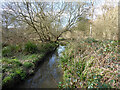 Rathlin Road Meadow, Pond and Wood, Crawley