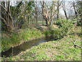 Broadfield Brook, Crawley