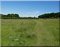 Leicestershire Round path towards Newtown Linford