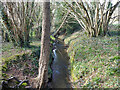 Broadfield Brook, Crawley