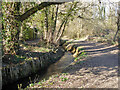 Broadfield Brook, Crawley