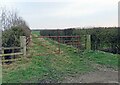 Field entrance on east side of Burton Lane