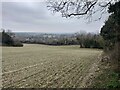 Arable field close to the Hogs Back Car Park