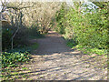 Bridleway 98W, Maidenbower, Crawley