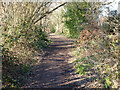 Bridleway 98W, Maidenbower, Crawley