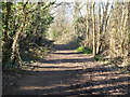 Bridleway 98W, Maidenbower, Crawley