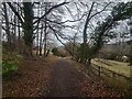 Public footpath towards Puttenham Road