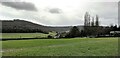 View SW towards Bignor Hill and Left Hanger