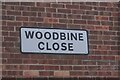 Woodbine Close, Hull